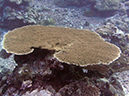 2011-10-13 - Orange Beach (7)