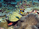 2011-10-14 - Siaes Corner (13)
