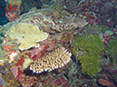 2011-10-14 - Siaes Tunnel (17)