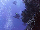 2011-10-12 - Turtle Cove (5)