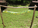2011-10-13 - Peleliu (11)