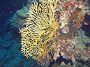 2011-10-14 - Siaes Tunnel (14)