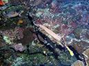 2011-10-13 - West Wall (5)