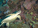 2011-10-14 - Siaes Tunnel (25)