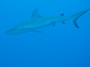 2011-10-14 - Ulong Channel (5)