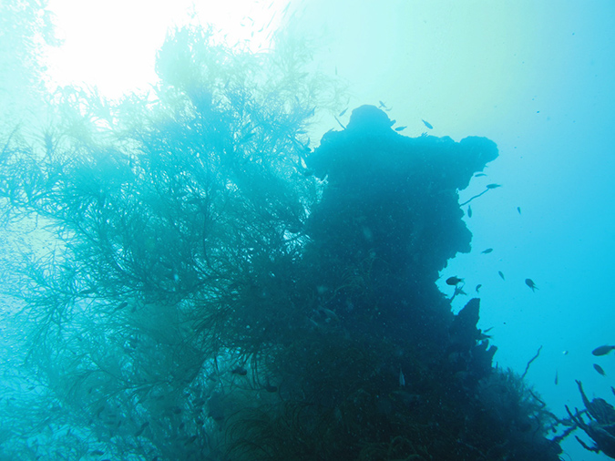 2011-10-23 - Kogya Maru Wreck Sangat Island (3)