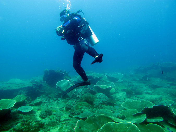 2011-10-23 - Marazan Wreck Sangat Island (6)