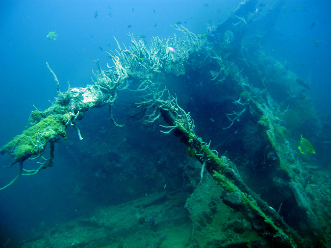 2011-10-24 - Olympia Maru wreck Sangat Island (23)