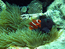 2011-10-21 - Lusong Gunboat Sangat Island (12)
