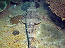 2011-10-23 - Lusong Reef off off Lusong Island Sangat Island (3)