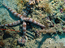 2011-10-21 - Lusong Gunboat Sangat Island (4)