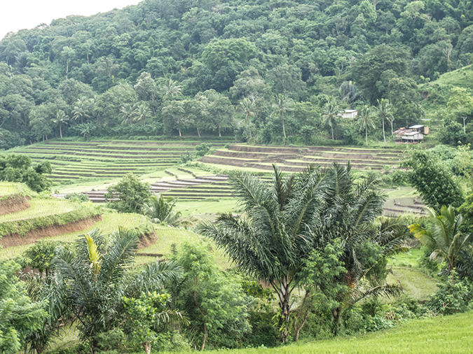 %_tempFileName2013_03_03-Ende-to-Bajawa-Drive-25%