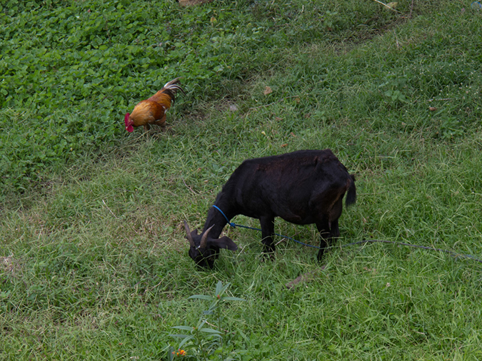 %_tempFileName2013_03_04-0-Villa-Silverin-Hotel-10%