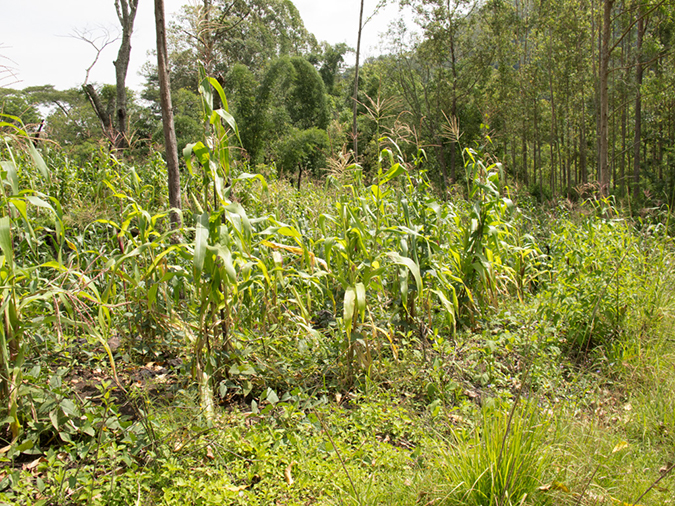 %_tempFileName2013_03_04-1-Hiking-Inerie-36%