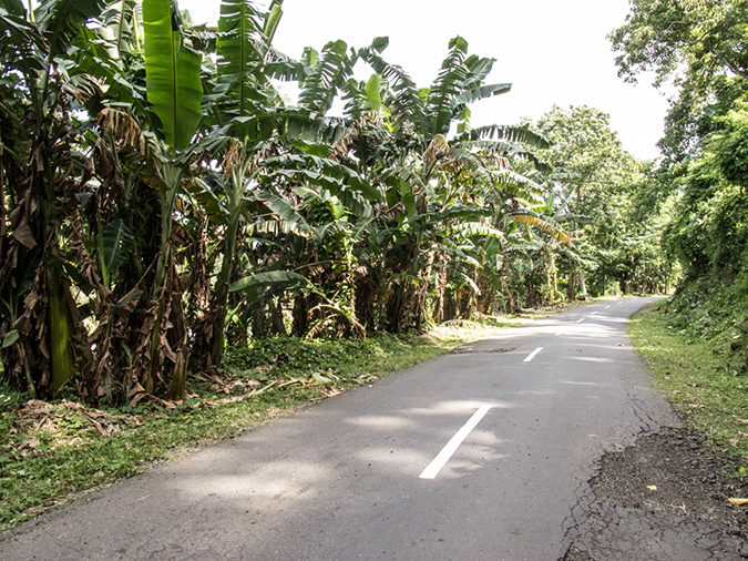 %_tempFileName2013_03_05-1-Bajawa-to-Labaun-Bajo-2%