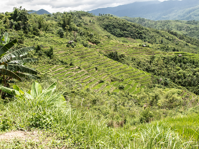 %_tempFileName2013_03_05-1-Bajawa-to-Labaun-Bajo-8%