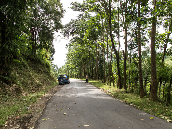 %_tempFileName2013_03_05-3-Bajawa-to-Labaun-Bajo-2%