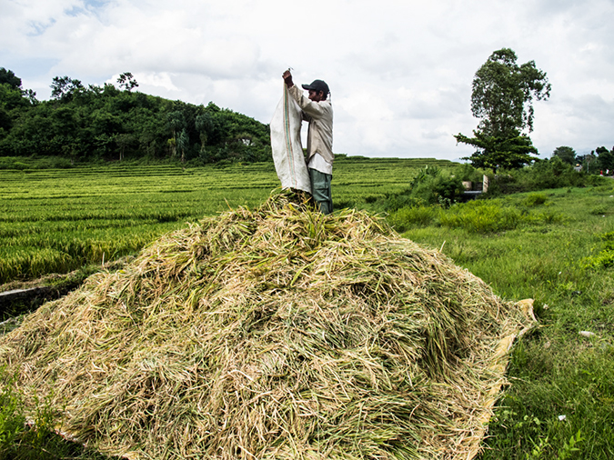 %_tempFileName2013_03_05-4-Bajawa-to-Labaun-Bajo-Rice-Paddys-7%
