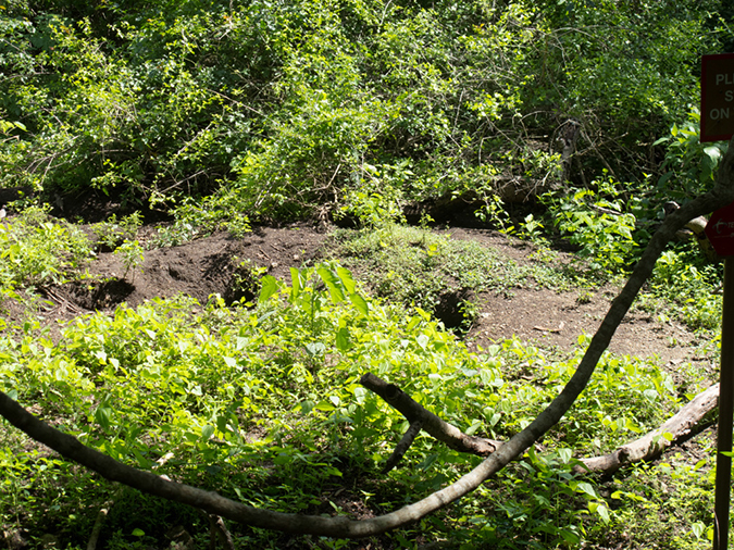 %_tempFileName2013_03_06-1-Trip-to-Rinca-Island-34%