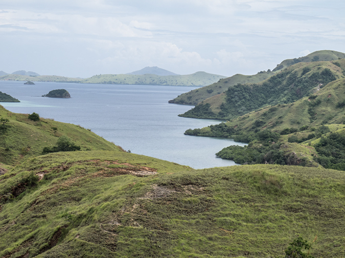 %_tempFileName2013_03_06-1-Trip-to-Rinca-Island-40%