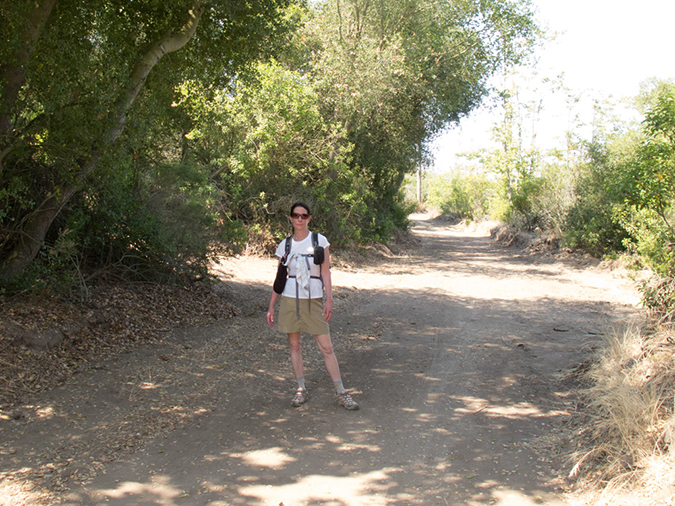 %_tempFileName2013-07-04_1_Crystal_Cove_State_Park-19%
