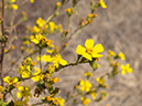 %_tempFileName2013-07-04_1_Crystal_Cove_State_Park-14%