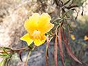 %_tempFileName2013-07-04_1_Crystal_Cove_State_Park-25%