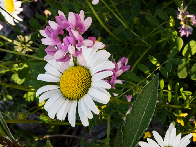 %_tempFileName2014-06-16_02_Holiday_Inn_Express_Canandaigua-6%