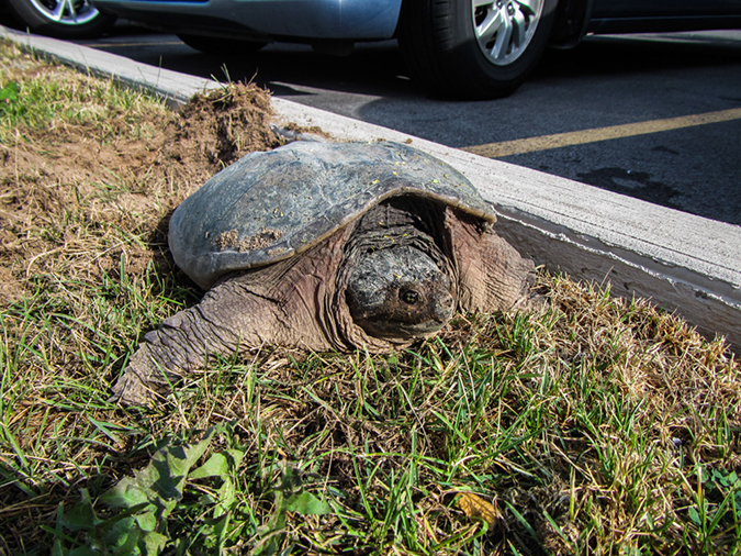 %_tempFileName2014-06-19_01_Around_Lake_Canandaigua-1%