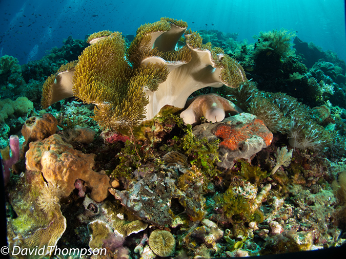 %_tempFileName2012-07-01_2_Ternate_Island_Babylon%20(37)%