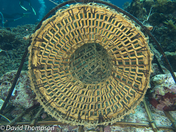 %_tempFileName2012-07-02_2_Pantar%20Island_Red_Wall%20(46)%