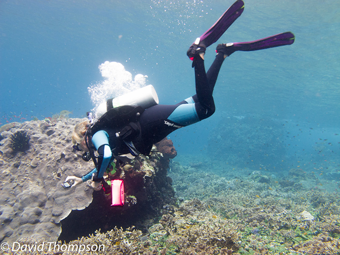 %_tempFileName2012-07-02_2_Pantar%20Island_Red_Wall%20(67)%