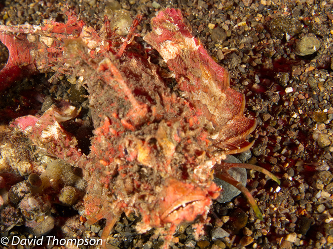%_tempFileName2012-07-02_4_Pantar_Island_beang_Abang_Bay%20(26)%