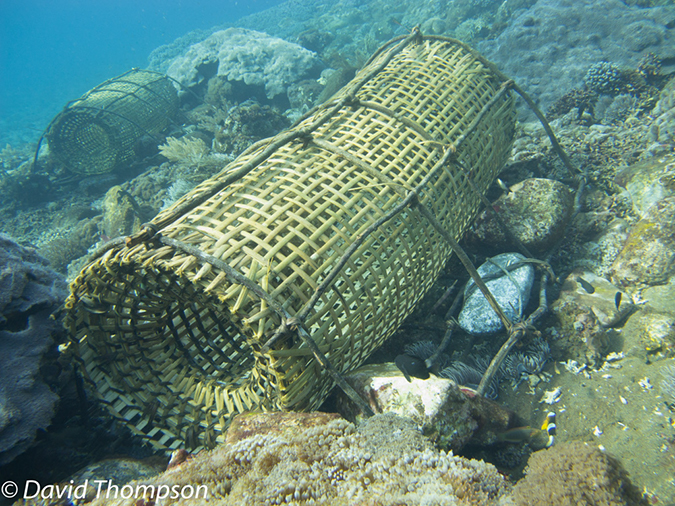 %_tempFileName2012-07-03_1_Pura_Island_Clown_Fish_Valley%20(37)%