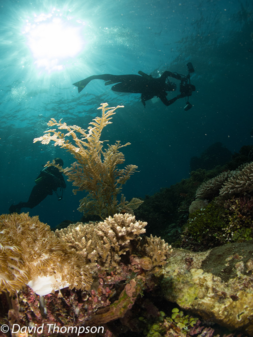 %_tempFileName2012-07-03_2_Ternate_Island_Babylon%20(64)%