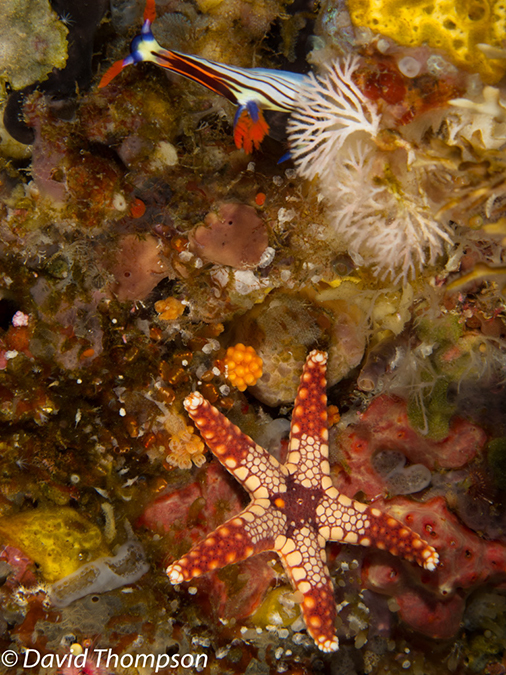 %_tempFileName2012-07-04_2_Treweg_Island_East_of_Trewag%20(17)%