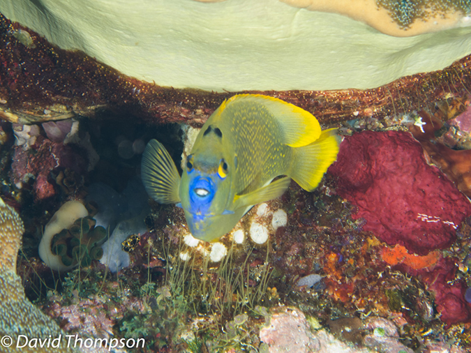 %_tempFileName2012-07-04_2_Treweg_Island_East_of_Trewag%20(40)%