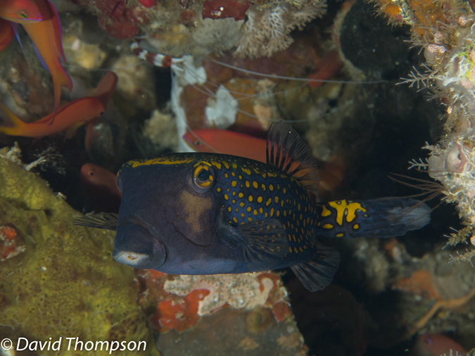 %_tempFileName2012-07-04_2_Treweg_Island_East_of_Trewag%20(49)%