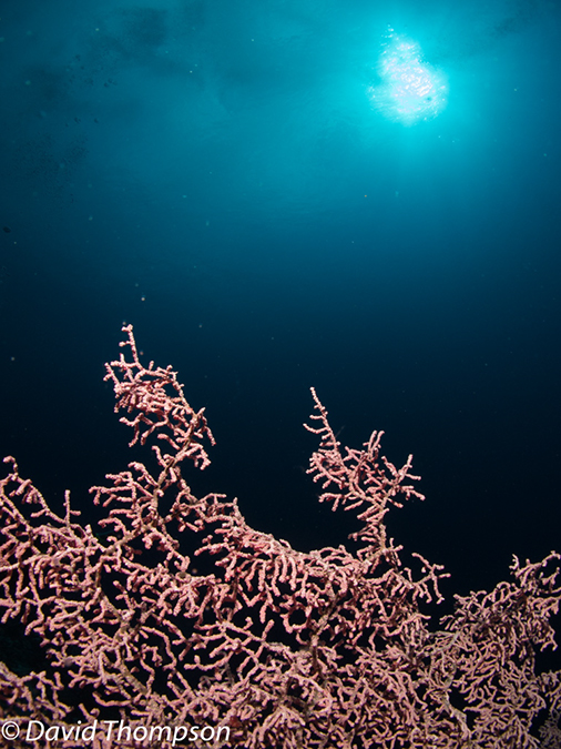 %_tempFileName2012-07-05_2_Pura_Island_Pakyans_Village%20(11)%