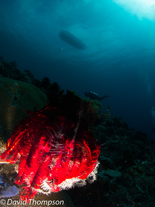 %_tempFileName2012-07-05_2_Pura_Island_Pakyans_Village%20(18)%