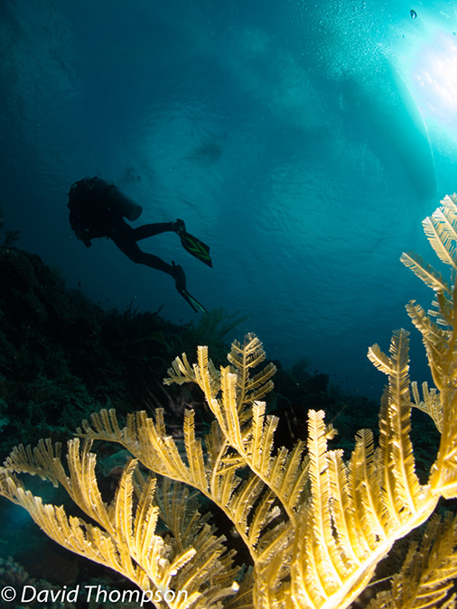 %_tempFileName2012-07-05_2_Pura_Island_Pakyans_Village%20(19)%