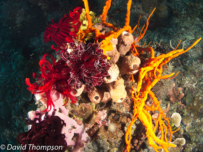 %_tempFileName2012-07-05_2_Pura_Island_Pakyans_Village%20(5)%