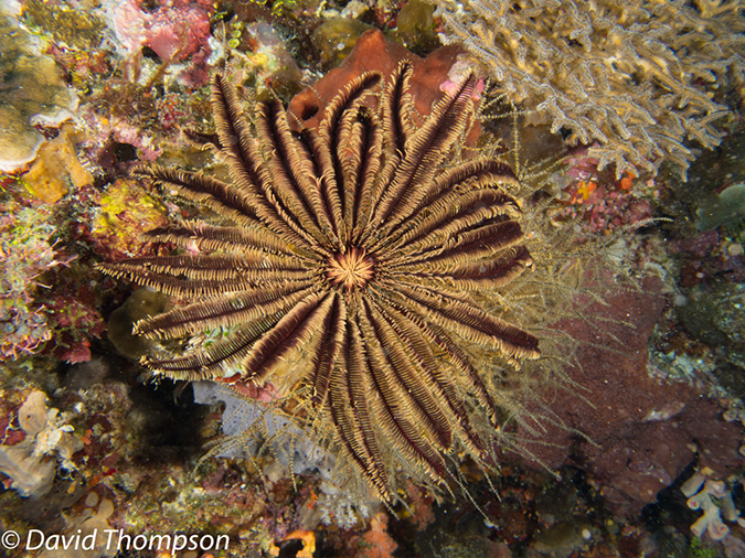%_tempFileName2012-07-06_3_Buaya_Island_Croodile_Cave%20(18)%
