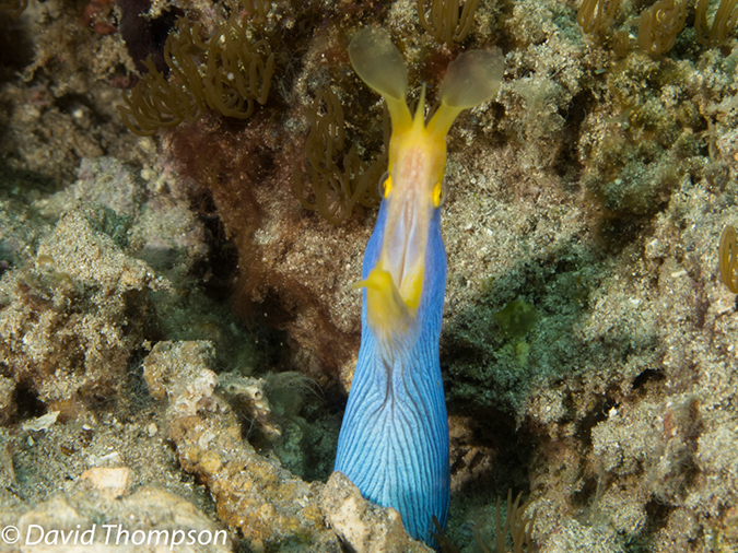 %_tempFileName2012-07-07_2_Kawula_Island_Sizzler%20(24)%