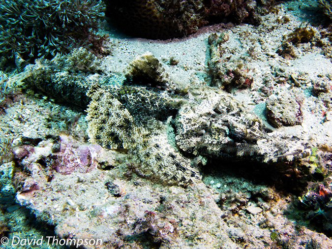 %_tempFileName2012-07-07_2_Kawula_Island_Sizzler%20(55)%
