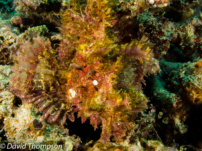%_tempFileName2012-07-07_2_Kawula_Island_Sizzler%20(6)%