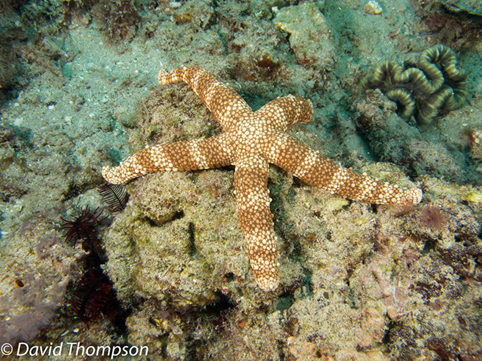 %_tempFileName2012-07-07_2_Kawula_Island_Sizzler%20(9)%