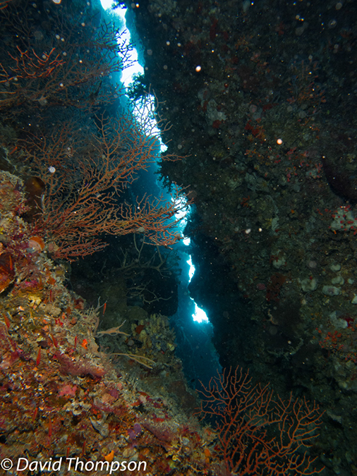 %_tempFileName2012-07-08_1_Maumere_Bay_Palau_Bali%20(46)%