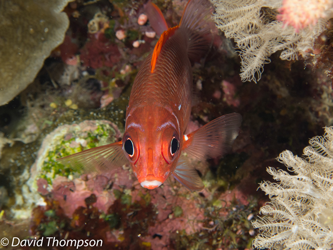 %_tempFileName2012-07-08_1_Maumere_Bay_Palau_Bali%20(9)%