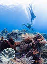 %_tempFileName2012-07-01_1_Pantar_Island_French_WIndow%20(11)%